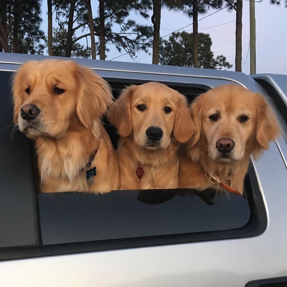 Meet your Posher, Carla